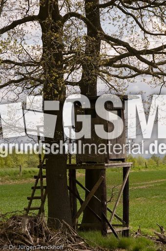 Hochstände (100 von 154).jpg